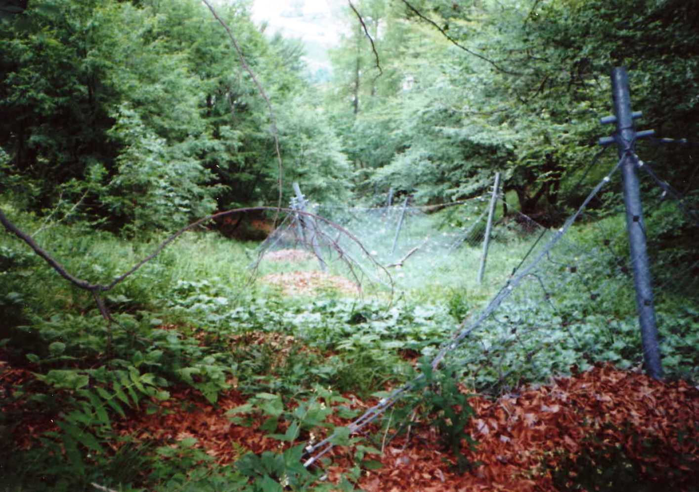 File0011777