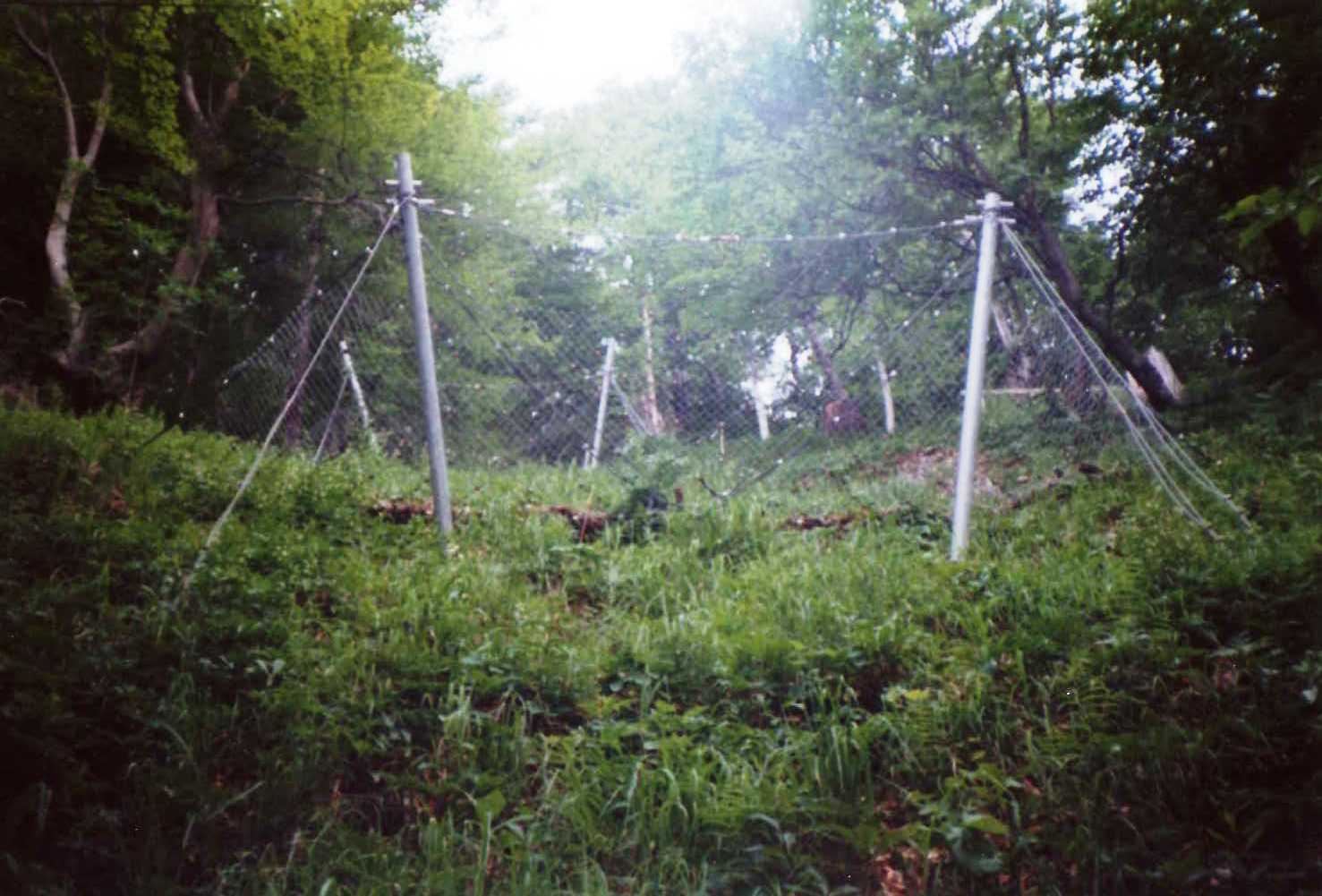 File0011778